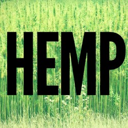 What’s up with hemp?