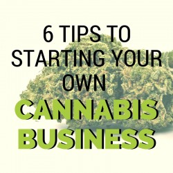 6 Tips To Starting Your Own Cannabis Business